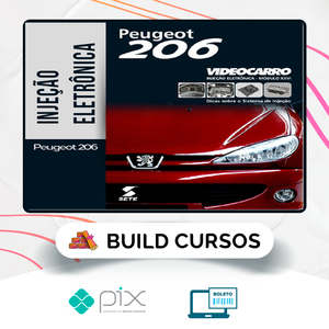 Injeção Eletrônica: Peugeot 206 - VideoCarro