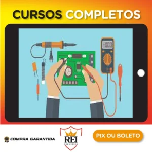 Direito Constitucional: De Ponta a Ponta - Instituto Daniel Sena